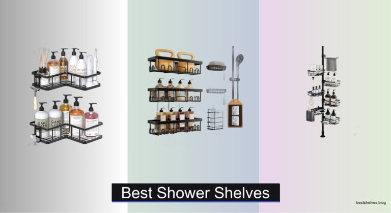8 Best Shower Shelves of 2026