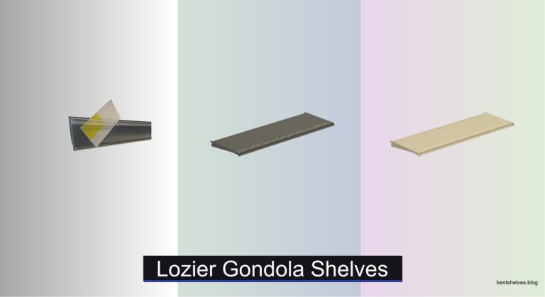 9 Best Lozier Gondola Shelves of 2026