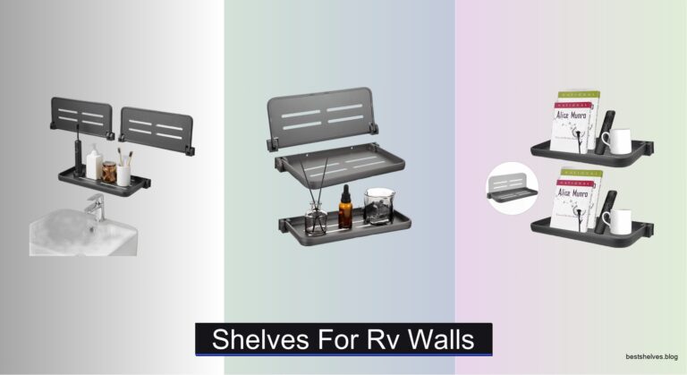 8 Best Shelves for RV Walls of 2026